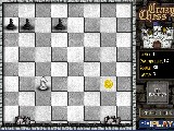 Onlinovka, online flash hra Crazy chess